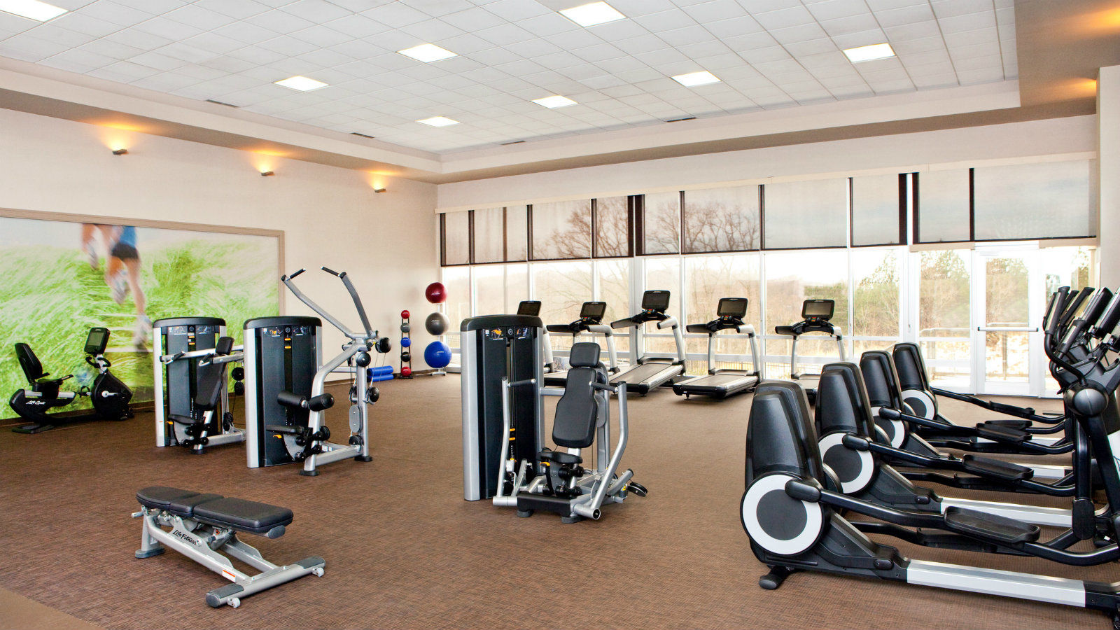 The Westin Baltimore Washington Airport - BWI Linthicum Facilidades foto